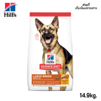 ??จัดส่งฟรี Hill’s Science Diet Canine Adult 6+ Large Breed อาหารสำหรับสุนัขพันธุ์ใหญ่ อายุ6ปีขึ้นไป ขนาด33ปอนด์ (14.9กก.) เก็บเงินปลายทาง✨