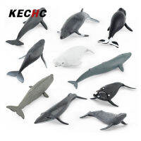 KECHc ชุดฟิกเกอร์ท่าทางสัตว์ทะเลสมจริง10ชิ้นจำลองวาฬหลังค่อม Beluga ของเล่นโมเดลปลาวาฬยักษ์สำหรับเป็นของขวัญเด็ก