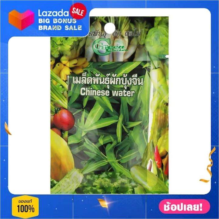 เมล็ดพันธุ์ผักบุ้งจีน-กรีน-การ์เด้น-เมล็ดพันธุ์ผัก-ผัก-ราคาถูก-พร้อมปลูก-seed-farm-garden