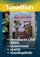 กัปตันไมคอร์ซ่า (MYCORRHIZA)