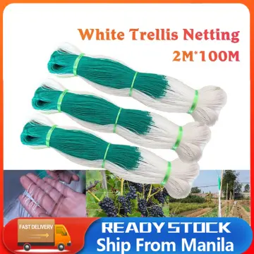 Anti Bird Catcher Net Garden Netting Protect Fruit Tree Mesh Fencing (2x8m)