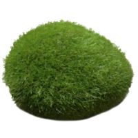 2022 New Moss Aquarium Fish Tank Decor Ornament Underwater Aquarium Tools Decoration