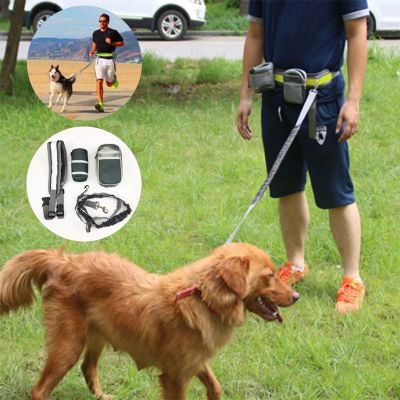 （PAPI PET）สายจูงสุนัขวิ่งสำหรับสุนัขกระเป๋าเทรนนิ่งเชือกปลอกคอสัตว์เลี้ยงเชือกลากสะท้อนแสงพร้อมกระเป๋าสำหรับ DL802ออกไป