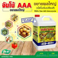 ขยายผลใหญ่ จัมโบ้ AAA ปุ๋ยยา เพิ่มน้ำหนัก เร่งสี ทรงสวย ขยายขนาดผล ผลใหญ่สม่ำเสมอ (ขนาด 5 ลิตร)