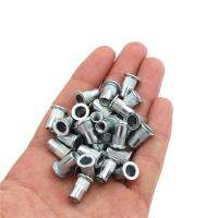 【CW】 30pcs 0.2 Inch M5 Blue White Zinc Rivet Nut Insert Nutsert Knurled Nuts Cap Threaded Flat Head Tool