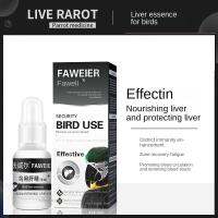 Pigeon Probiotic Liver Essence Parrot Xuanfeng Bird บำรุงพิเศษ Liquid Health Conditioning Supplies