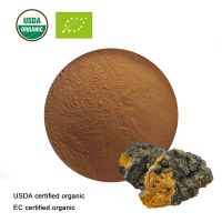 Hot Sell Pure Natural High Quality Natural Chaga Mushroom Extract 20:1Powder,AInonotus obliquus extract Powder,CHAGA