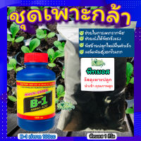 วัสดุเพาะกล้า+ฮอร์โมนเร่งราก ?น้ำรากเร่งรากB-1 + พีชมอส วัสดุปลูกคุณภาพสูง ต้นกล้าแข็งแรง ​เพาะเมล็ดอัตราการงอกสูง?