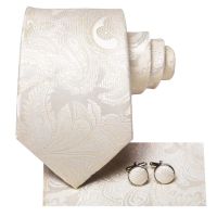 Ivory Champagne Paisley Floral Silk Wedding Tie For Men Handky Cufflink Mens Necktie Designer Business Party Dropship Hi-Tie