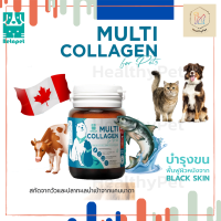 Multi Collagen อาหารเสริมคอลลาเจน บำรุงขนและผิวหนัง สกัดจากวัวและปลาทะเลน้ำลึก สำหรับสุนัขและแมว