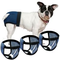 Reuse Dog Physiological Pants Diaper Sanitary Washable Dog Panties Shorts Underwear Briefs For Puppy Dogs + 3PCS Diaper