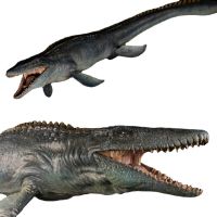 1ชิ้น Nanmu สตูดิโอ135 Mosasaurus รูปลอร์ดแห่งเหวยุคก่อนประวัติศาสตร์ไดโนเสาร์ของเล่นสะสมสัตว์ของเล่นรุ่น