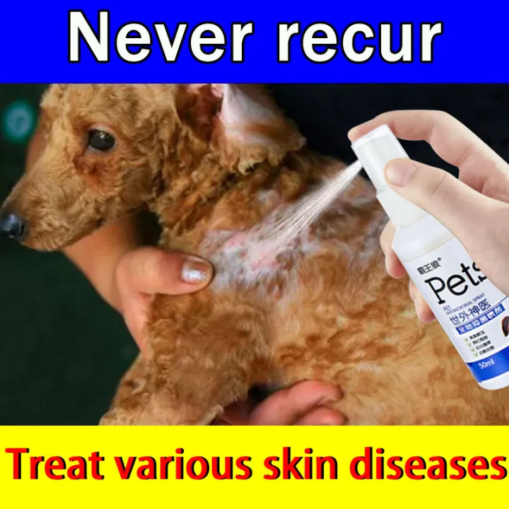 Doctor recommended]😻Non-toxic, can be licked💯Anti mange for dogs Pet  Antibacterial Spray
