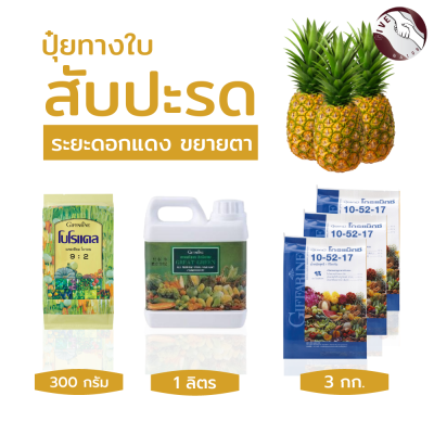 #เซทปุ๋ยสับปะรด #ขยายตาดอก #ระยะดอกแดง #เหรียญสิบ #ปุ๋ยกิฟฟารีน ของแท้ 100%