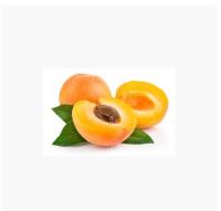 ผงสครับ แอปปริคอท appricot 100g 000891