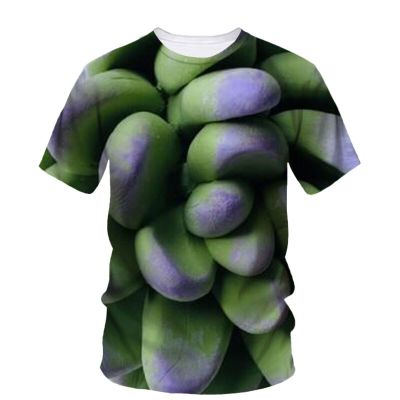 Hip Hop Succulent Graphic เสื้อยืดผู้ชายฤดูร้อน 3d พิมพ์แฟชั่น Street Trend สนุก O คอแขนสั้นขนาดใหญ่ Silhouette เสื้อผ้า