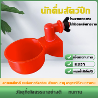 เครื่องป้อนอัตโนมัติ ไก่ เป็ด ห่าน ชามน้ำดื่ม สิ่งประดิษฐ์การให้อาหารนก น้ำพุน้ำดื่ม ถ้วยน้ำนกกระทา ชามน้ำนกพิราบ