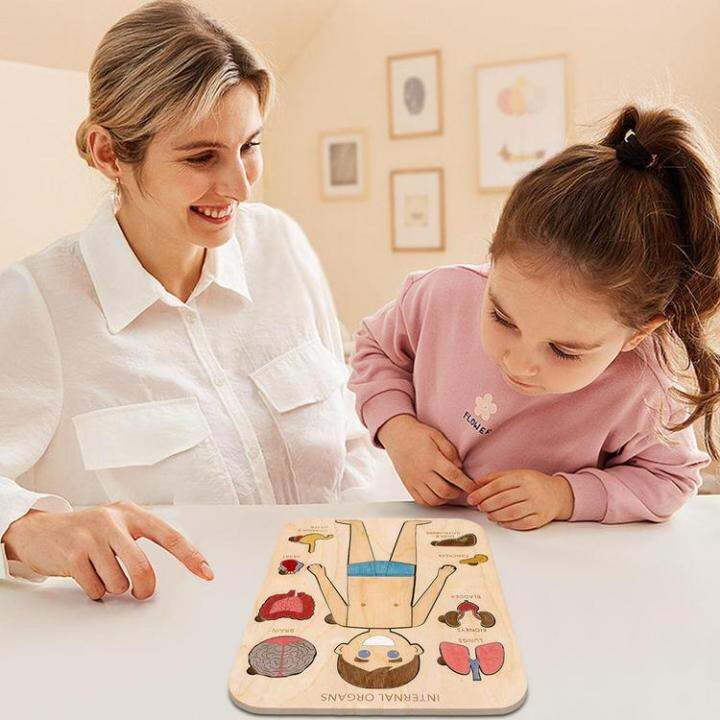 human-body-puzzle-human-body-structure-wooden-puzzle-for-children-educational-jigsaw-puzzles-human-body-parts-montessori-interactive-learning-puzzles-for-preschoolers-adorable