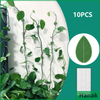 Hanak 10ชิ้นอุปกรณ์ยึดคลิปยึดพืชปีนกำแพงมีกาวในตัว