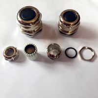 Hot Selling 1PCS Brass Metal Cable Glands IP68 PG7 PG9 PG11 PG13.5 PG21 PG25 PG29 Waterproof Connector Cable Gland Straight Through