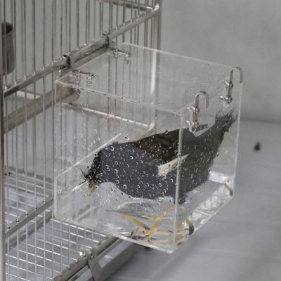 นกแก้วนกอ่างอาบน้ำโปร่งใสนกแก้ว C Ockatiel กว้างขวางคริลิคบ้านอาบน้ำอุปกรณ์สัตว์เลี้ยงกรงแบบพกพาที่มีตะขอแขวน