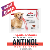 [1 กล่อง] หมดอายุ 2/2025 +บำรุงข้อ+ Antinol dog สุนัข 60 เม็ด บำรุงข้อ สกัดจากหอยแมลงภู่