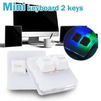 Mini 2 Keys Keyboard OSU Macro Programming Mechanical Keyboard Hot Swap Type-C RGB Backlight Gaming Mini Custom Keypad