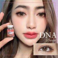 ? มีค่าสายตา ? Lovelylens DNA  Gray Brown บิ๊กอาย สุดปัง คอนแทคเลนส์ รายเดือน มีอย แถมตลับฟรี  เลนส์นิ่ม สวยปังมาก