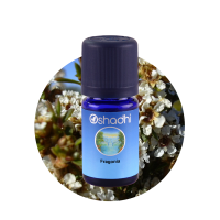 Oshadhi Fragonia Agonis fragrans Essential Oil