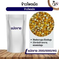 ข้าวโพดเม็ด corn kernels อาหารนก กระต่าย หนู กระต่าย กระรอก ชูก้า และสัตว์ฟันแทะ (แบ่งขาย 500G / 1KG)