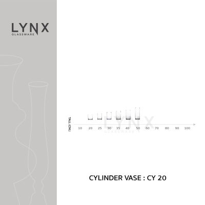 LYNX - CYLINDER VASE 20 - แจกันแก้ว แฮนด์เมด เนื้อใส ทรงกระบอก ปากและฐาน 20 ซม. มีให้เลือกหลายขนาด