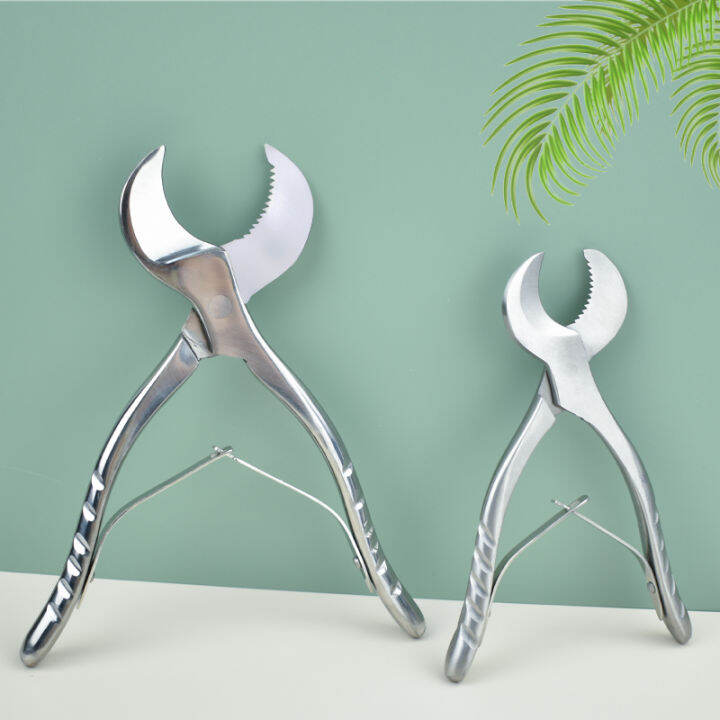 Stainless Steel Dental Plaster Scissors Gypsum Scissors Dentistry