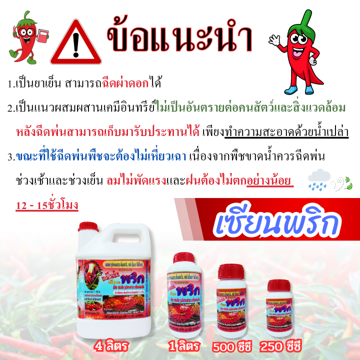 พร้อมส่ง-เซียนพริก-4-ลิตร-สูตรพริกดก-ซื้อ-1แถม2-อาหารพืช-ปุ๋ย-ปุ๋ยฉีดพริก-ปุ๋ยฉีดมะเขือ-ยาฉีดพริก-ฮอร์โมนพริก