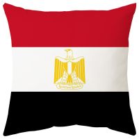 (All inventory) World Flag 3D printed pillowcases for sofas, chairs, and home decor. (Contact the seller for free customization support.) Double sided printing design for pillows)