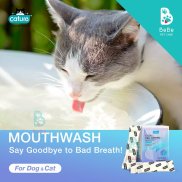 Dung Dịch Pha Nước Uống Thơm Miệng Cho Chó Mèo CATURE Oral Care Pro 5ml