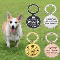 ■♣ Personalized Address Dog Pectoral Tags Customized Dog Collar Kitten Cat Necklace ID Tag Pet Dogs Chain Medal with Engraving Name