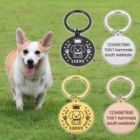 ㍿❈◑ Personalized Address Dog Pectoral Tags Customized Dog Collar Kitten Cat Necklace ID Tag Pet Dogs Chain Medal with Engraving Name