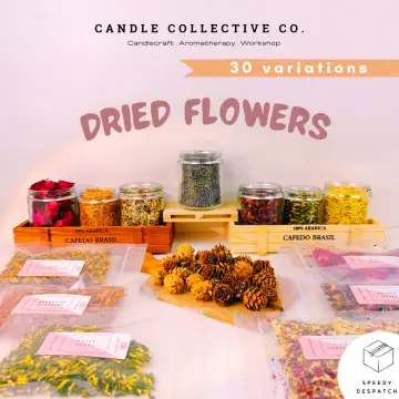 Dry Flowers For Candle Making - Best Price in Singapore - Oct 2023