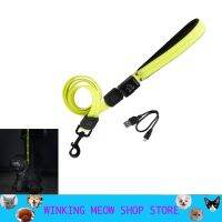 Pets Dog Luminescence Traction Rope Silica Gel Waterproof USB Charging Large And Medium Sized Dogs Accessories A Hook Yellow