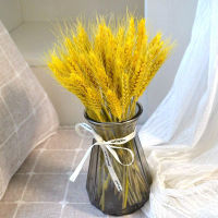 【cw】New Selling 50100Pcs Golden Natural Dried Wheat Stalk Natural Dried Flowers Wheat Decorative Wheat Bouquet Shooting Props ！