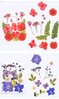 RET Dried Pressed Flowers Art Supplies Dried Flower Herbs Kit For Scrapbooking DIY Candle Decoration