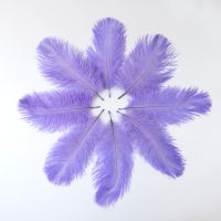 New Design 10 PCS/Lot Size 15-20 CM Fancy Soft Fluffy Natural Purple Ostrich Feathers Headdress Dreamcatcher Craft Decoration