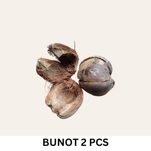 CLEAN AND GREEN COCONUT HUSK 2 PCS Lazada PH