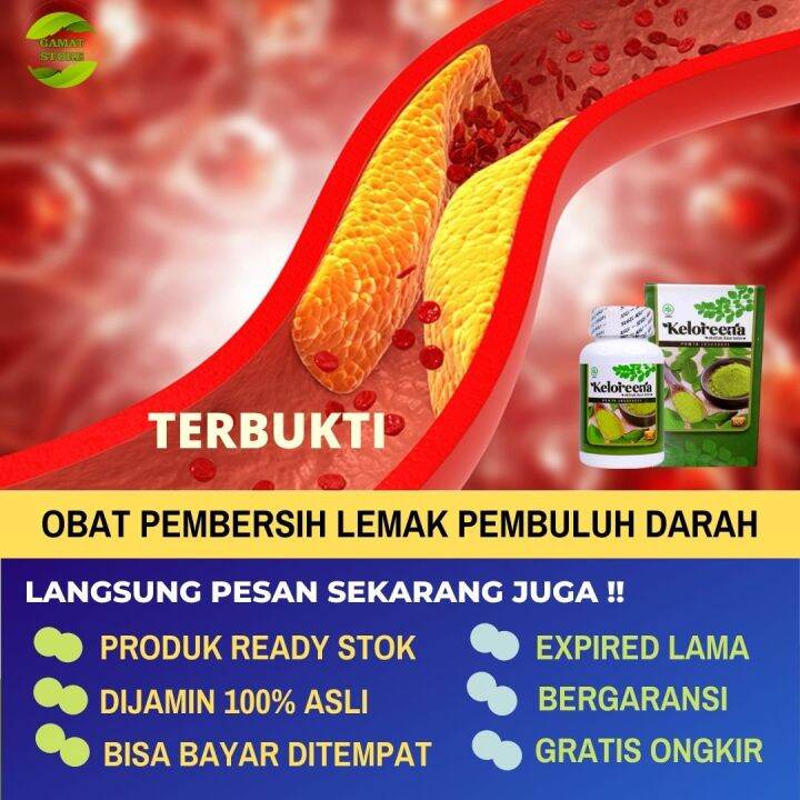 Obat Pembersih Lemak Darah Penyempitan Pembuluh Darah Pembersih