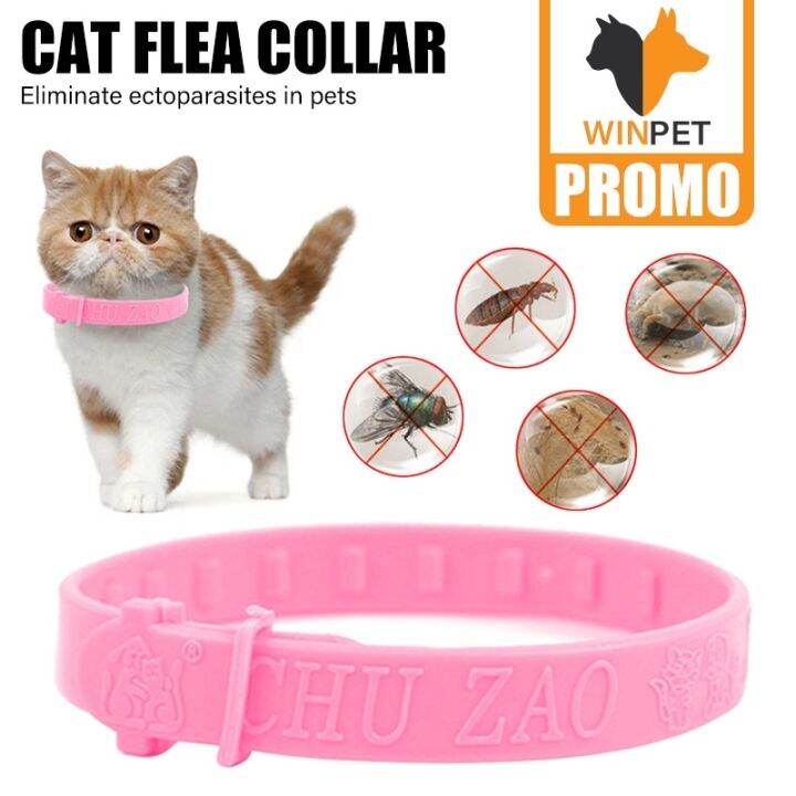Pet Collar Anti Flea And Tick For Cat In Vitro Prevention Deworming