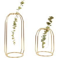 2022NEW Nordic Creative Vase Home Decor Golden Glass Vase Hydroponic Plant Holder Iron Line Flowers Ornament Home Garden