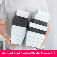 Meshpot กระถางแคคตัสกระถางใส่พืชอวบน้ำ6ซม. 7ซม. 10ซม. 12ซม. 15ซม. กระถางดอกไม้พลาสติกระบายน้ำได้ดีมีรูอากาศ