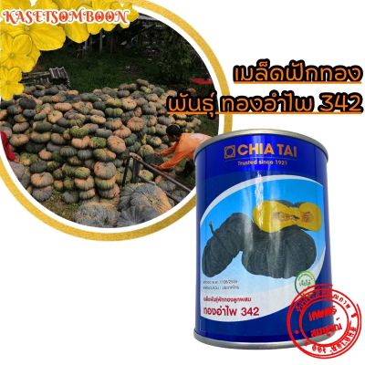 ฟักทอง ทองอำไพ342 F1 เมล็ดพันธุ์ 100 ก. ตรา เจียไต๋