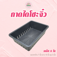 ถาดไดโซะจิ๋ว ขนาด 7 x 10 x 3 นิ้ว แพ็ค 6 ใบ ปลูกต้นไม้ เพาะแคคตัส ถาดพลาสติก