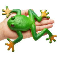 Novelty Funny Toy squishy Frog Toy Simulation Soft Stretchable Rubber Frog Model Spoof Vent Toys for Children Kids Adults Jokes